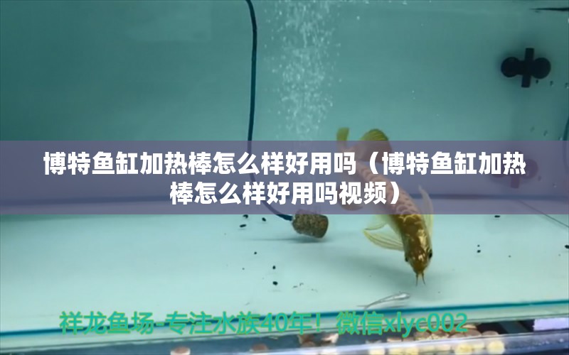 博特魚缸加熱棒怎么樣好用嗎（博特魚缸加熱棒怎么樣好用嗎視頻）