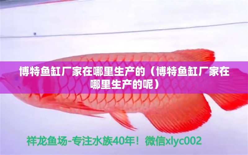 博特魚缸廠家在哪里生產(chǎn)的（博特魚缸廠家在哪里生產(chǎn)的呢） 博特水族