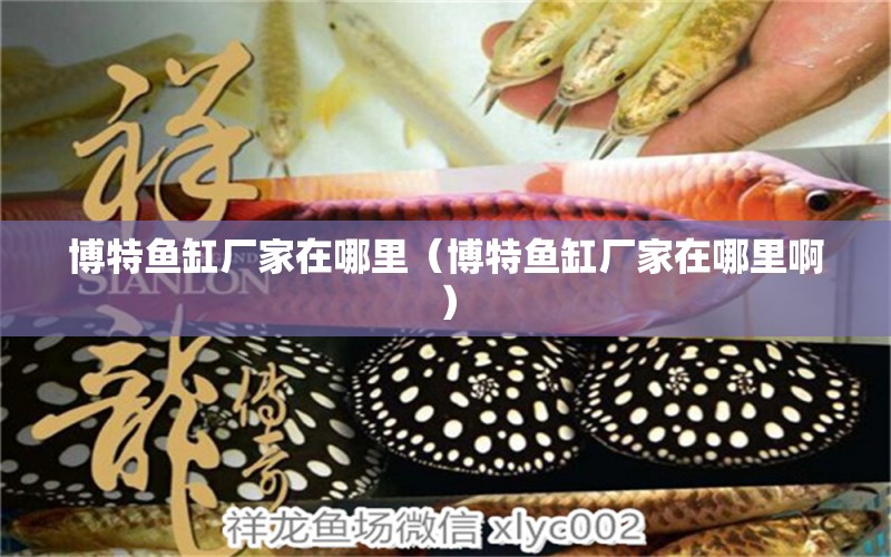 博特魚缸廠家在哪里（博特魚缸廠家在哪里?。? title=