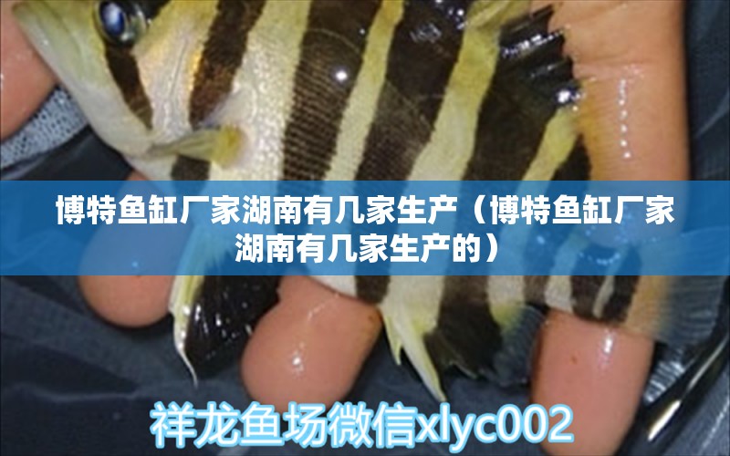 博特魚缸廠家湖南有幾家生產(chǎn)（博特魚缸廠家湖南有幾家生產(chǎn)的）