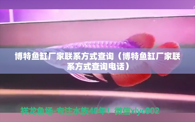 博特魚缸廠家聯(lián)系方式查詢（博特魚缸廠家聯(lián)系方式查詢電話）