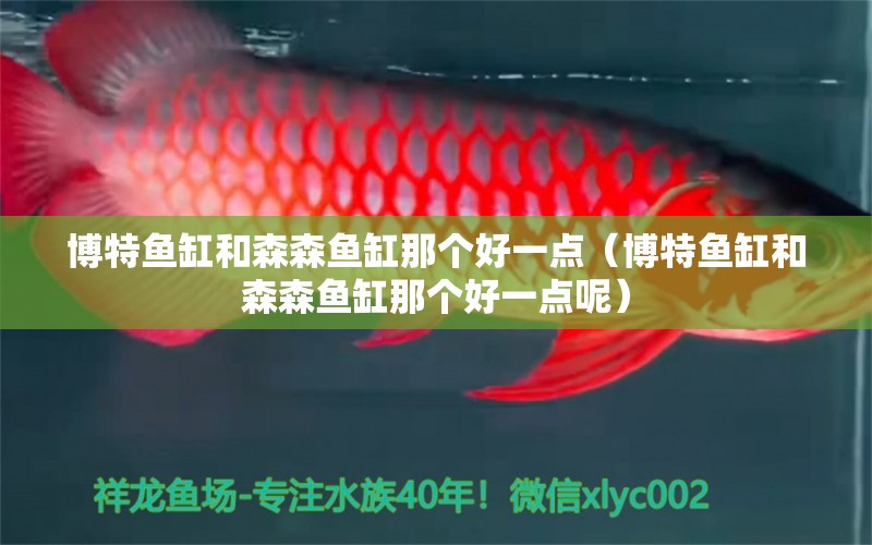 博特魚缸和森森魚缸那個好一點（博特魚缸和森森魚缸那個好一點呢）