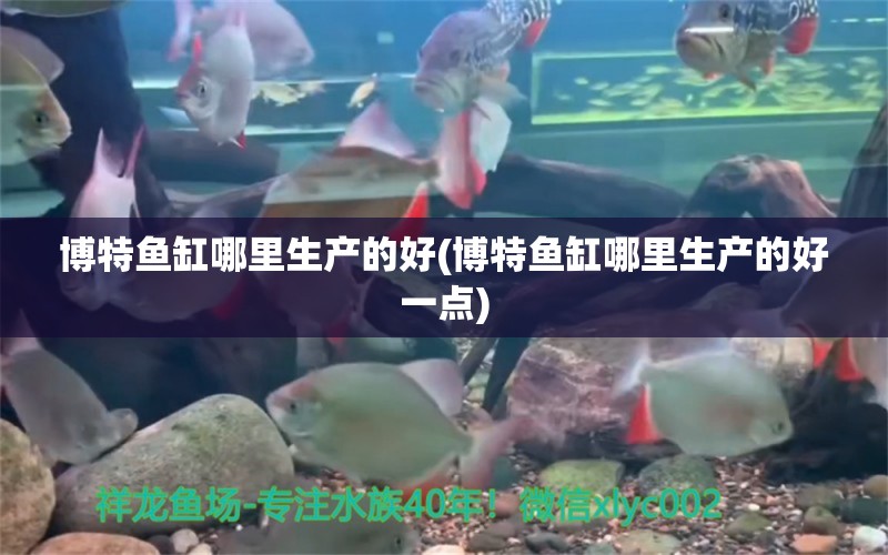 博特魚缸哪里生產(chǎn)的好(博特魚缸哪里生產(chǎn)的好一點(diǎn))