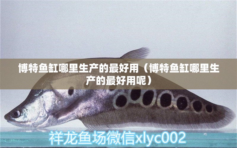 博特魚缸哪里生產的最好用（博特魚缸哪里生產的最好用呢）