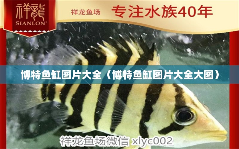 博特魚(yú)缸圖片大全（博特魚(yú)缸圖片大全大圖） 博特水族