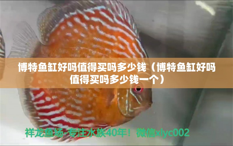 博特魚(yú)缸好嗎值得買嗎多少錢（博特魚(yú)缸好嗎值得買嗎多少錢一個(gè)） 博特水族