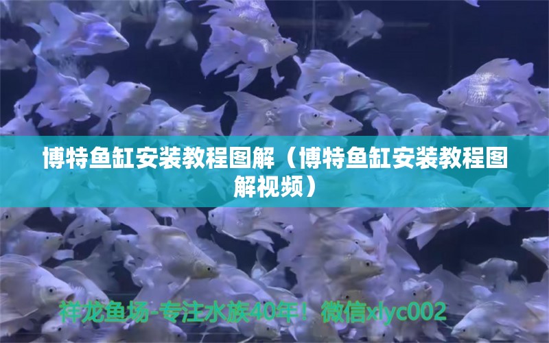 博特魚缸安裝教程圖解（博特魚缸安裝教程圖解視頻）