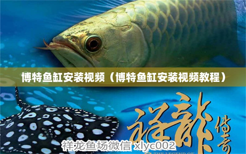 博特魚(yú)缸安裝視頻（博特魚(yú)缸安裝視頻教程）