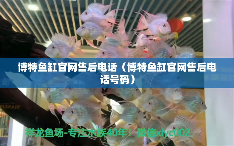 博特魚缸官網(wǎng)售后電話（博特魚缸官網(wǎng)售后電話號(hào)碼）