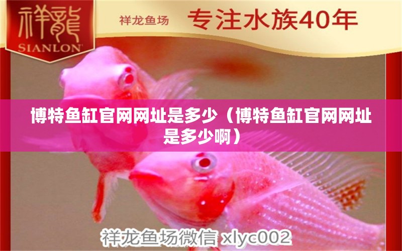 博特魚缸官網(wǎng)網(wǎng)址是多少（博特魚缸官網(wǎng)網(wǎng)址是多少?。? title=