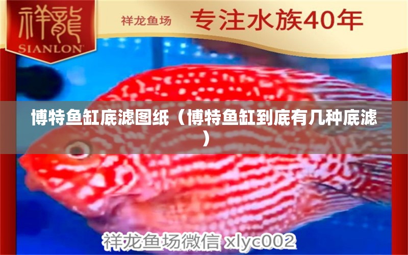 博特魚缸底濾圖紙（博特魚缸到底有幾種底濾）