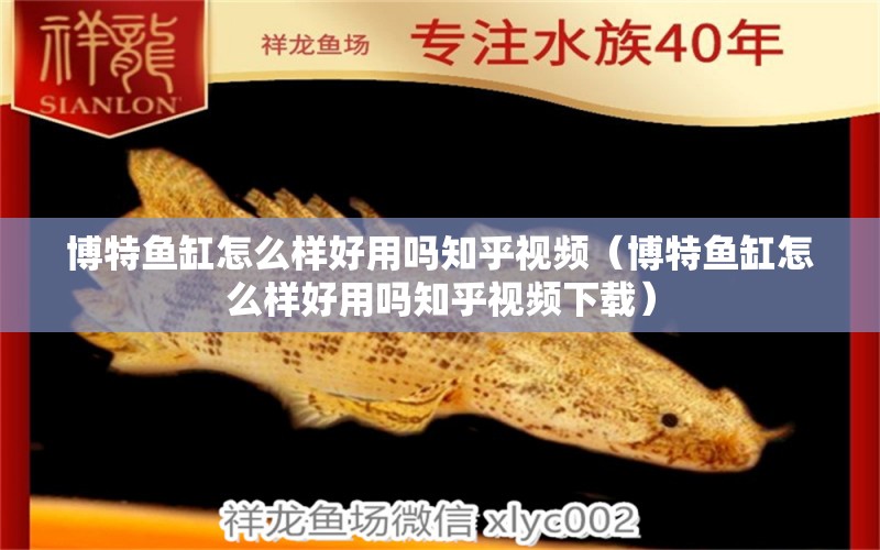 博特魚缸怎么樣好用嗎知乎視頻（博特魚缸怎么樣好用嗎知乎視頻下載）