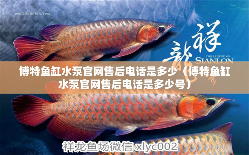 博特魚缸水泵官網(wǎng)售后電話是多少（博特魚缸水泵官網(wǎng)售后電話是多少號） 博特水族