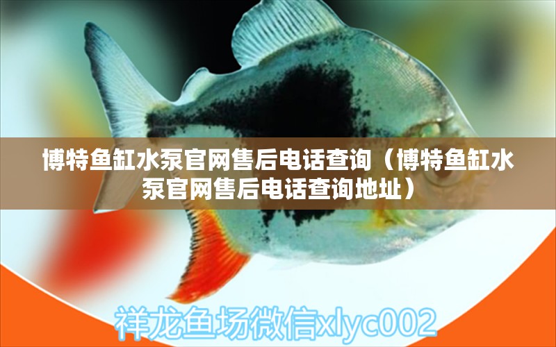 博特魚缸水泵官網(wǎng)售后電話查詢（博特魚缸水泵官網(wǎng)售后電話查詢地址）