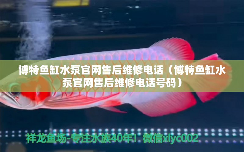 博特魚缸水泵官網(wǎng)售后維修電話（博特魚缸水泵官網(wǎng)售后維修電話號碼）