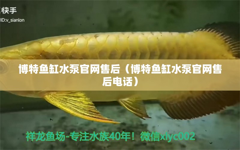 博特魚(yú)缸水泵官網(wǎng)售后（博特魚(yú)缸水泵官網(wǎng)售后電話(huà)） 博特水族