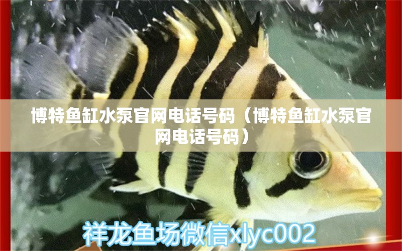 博特魚缸水泵官網(wǎng)電話號碼（博特魚缸水泵官網(wǎng)電話號碼）