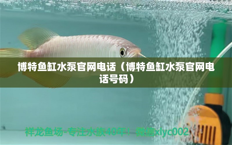 博特魚缸水泵官網(wǎng)電話（博特魚缸水泵官網(wǎng)電話號碼）