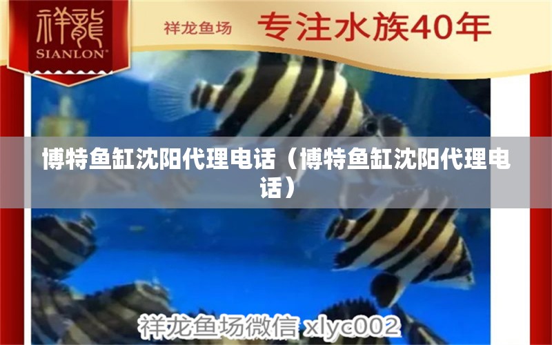 博特魚缸沈陽代理電話（博特魚缸沈陽代理電話） 博特水族