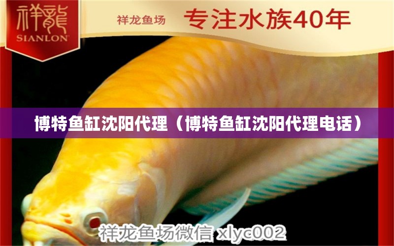 博特魚缸沈陽代理（博特魚缸沈陽代理電話）