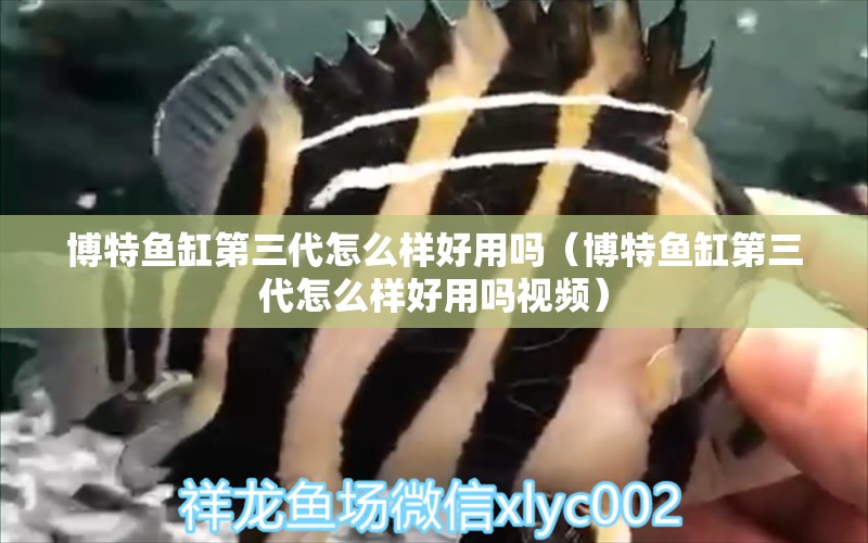 博特魚(yú)缸第三代怎么樣好用嗎（博特魚(yú)缸第三代怎么樣好用嗎視頻）