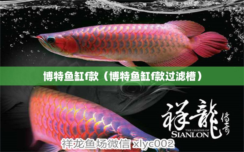 博特魚(yú)缸f款（博特魚(yú)缸f款過(guò)濾槽）