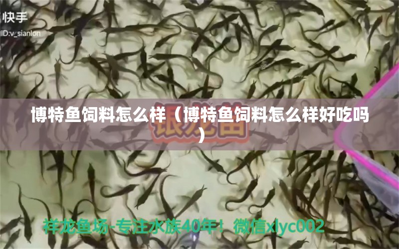 博特魚飼料怎么樣（博特魚飼料怎么樣好吃嗎） 博特水族