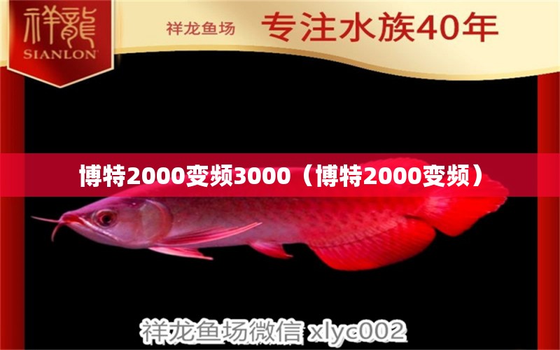 博特2000變頻3000（博特2000變頻）