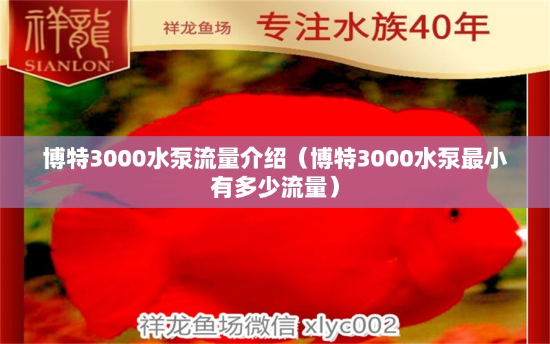 博特3000水泵流量介紹（博特3000水泵最小有多少流量）