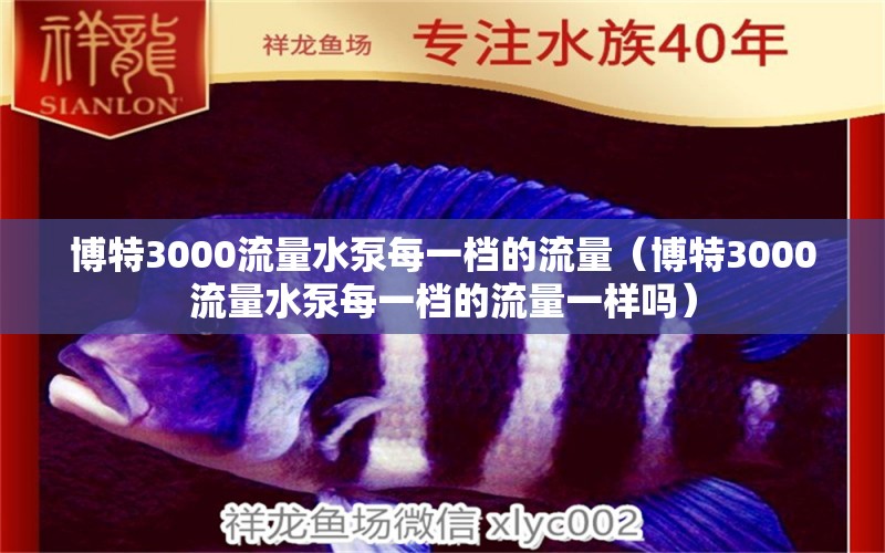 博特3000流量水泵每一檔的流量（博特3000流量水泵每一檔的流量一樣嗎） 博特水族