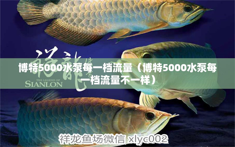 博特5000水泵每一檔流量（博特5000水泵每一檔流量不一樣）