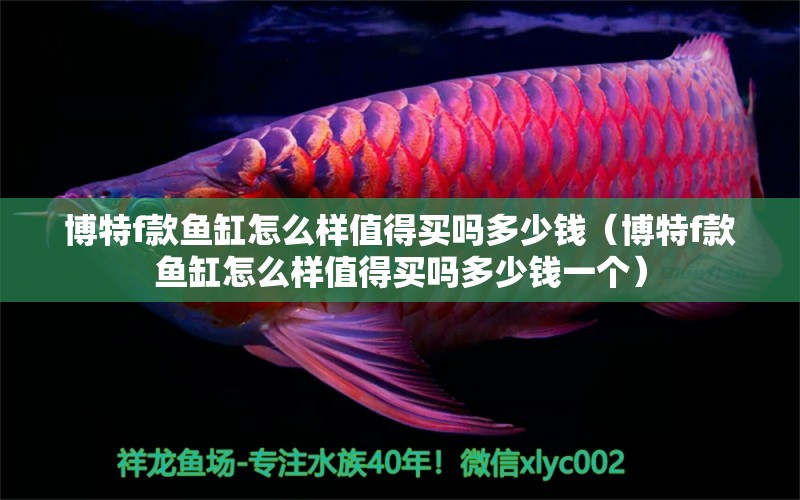 博特f款魚缸怎么樣值得買嗎多少錢（博特f款魚缸怎么樣值得買嗎多少錢一個）