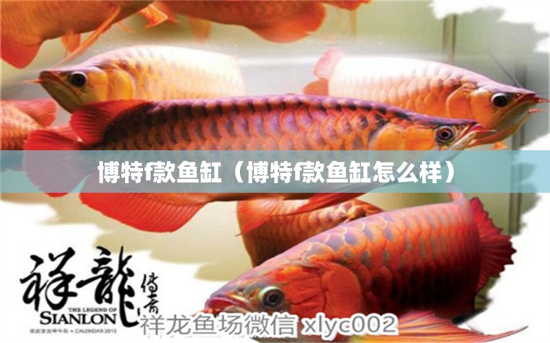 博特f款魚缸（博特f款魚缸怎么樣） 博特水族