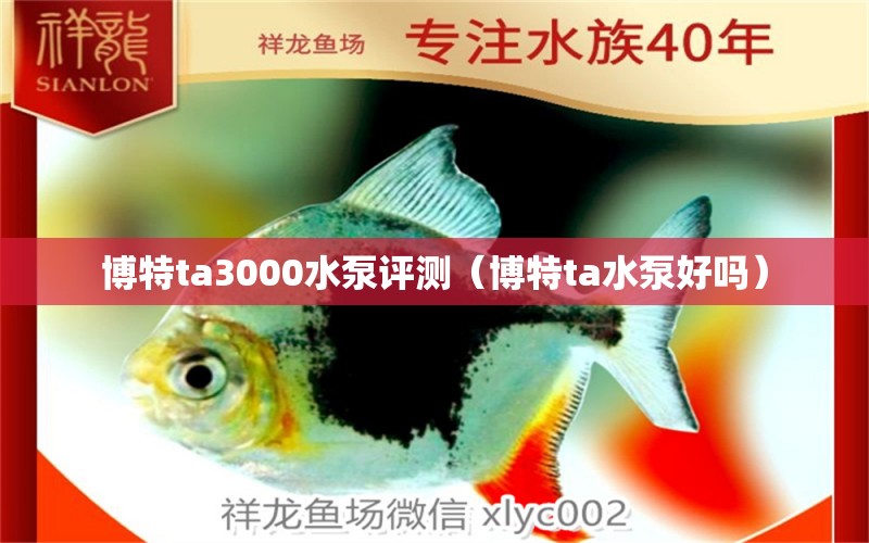 博特ta3000水泵評(píng)測(cè)（博特ta水泵好嗎）