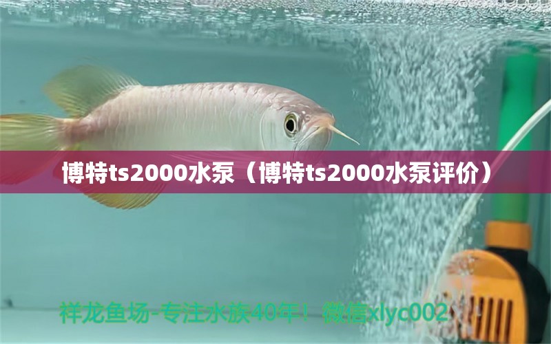 博特ts2000水泵（博特ts2000水泵評價(jià)）