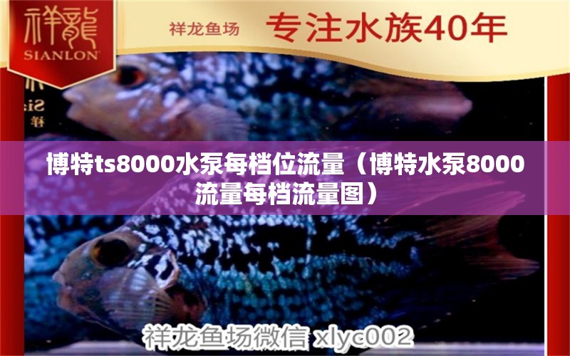 博特ts8000水泵每檔位流量（博特水泵8000流量每檔流量圖）