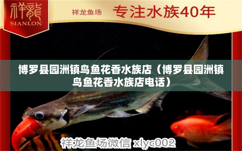 博羅縣園洲鎮(zhèn)鳥魚花香水族店（博羅縣園洲鎮(zhèn)鳥魚花香水族店電話） 全國水族館企業(yè)名錄