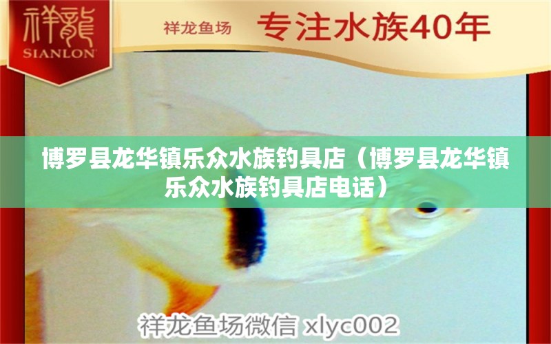 博羅縣龍華鎮(zhèn)樂眾水族釣具店（博羅縣龍華鎮(zhèn)樂眾水族釣具店電話）