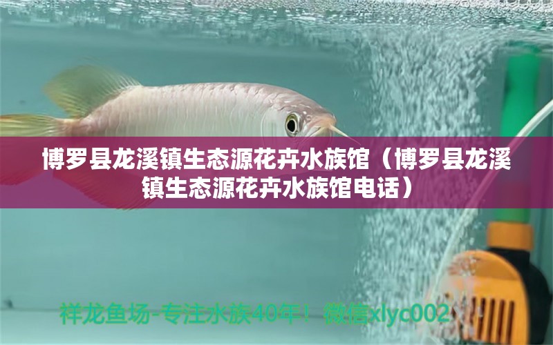 博羅縣龍溪鎮(zhèn)生態(tài)源花卉水族館（博羅縣龍溪鎮(zhèn)生態(tài)源花卉水族館電話）