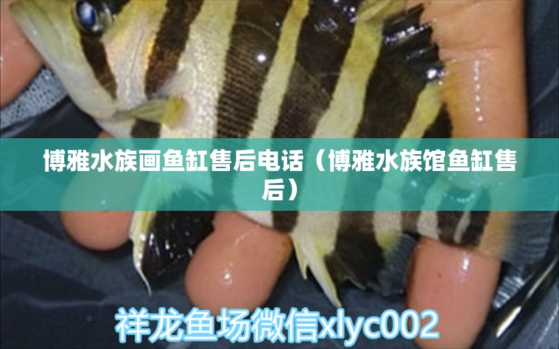 博雅水族畫魚缸售后電話（博雅水族館魚缸售后）