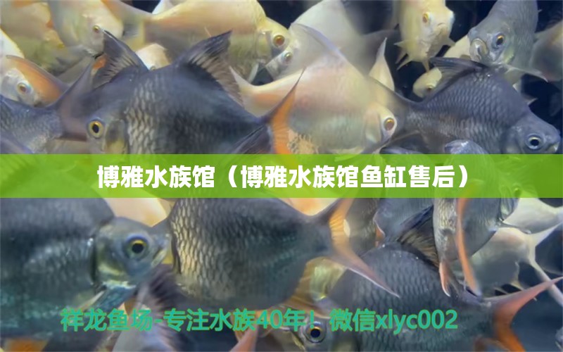 博雅水族館（博雅水族館魚缸售后） 全國水族館企業(yè)名錄