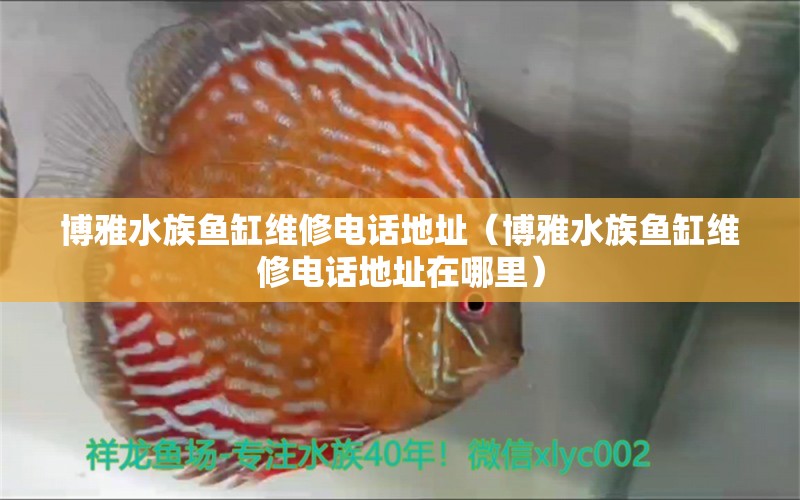 博雅水族魚缸維修電話地址（博雅水族魚缸維修電話地址在哪里）