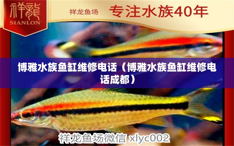 博雅水族魚缸維修電話（博雅水族魚缸維修電話成都）