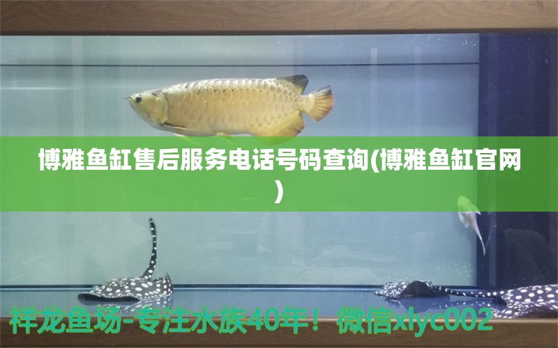 博雅魚缸售后服務(wù)電話號(hào)碼查詢(博雅魚缸官網(wǎng))