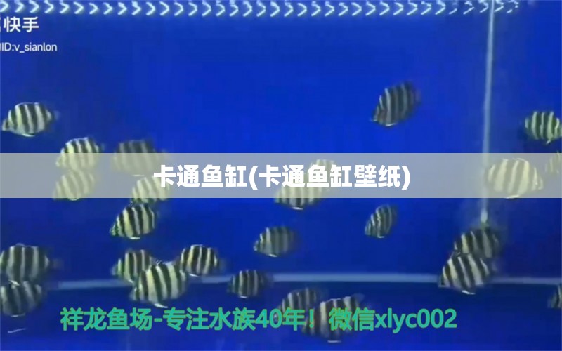 卡通魚缸(卡通魚缸壁紙) 其他益生菌