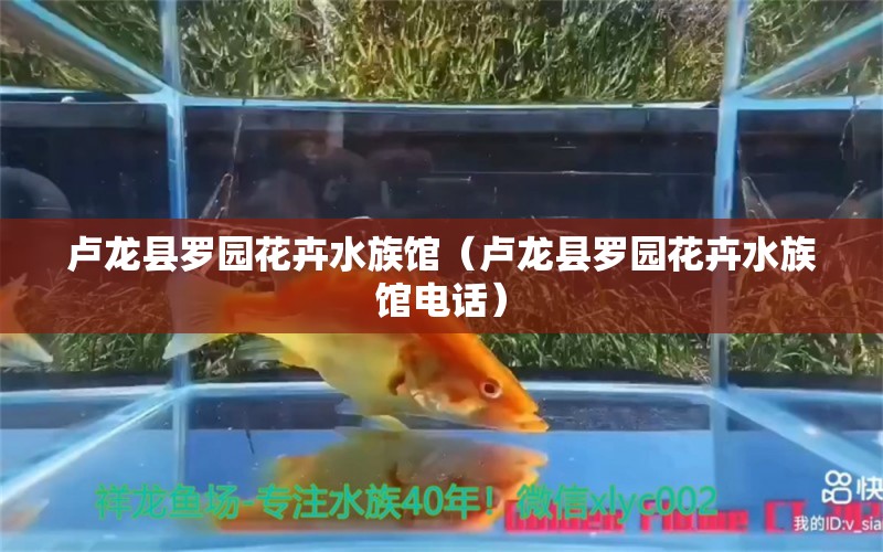 盧龍縣羅園花卉水族館（盧龍縣羅園花卉水族館電話）