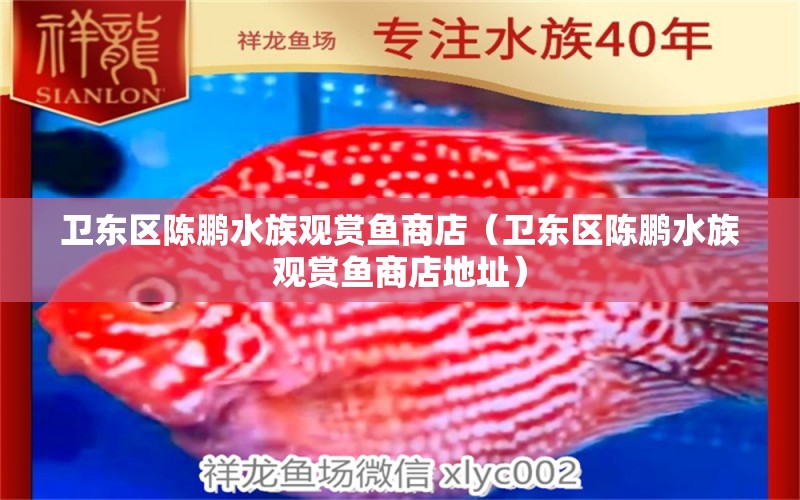 衛(wèi)東區(qū)陳鵬水族觀賞魚商店（衛(wèi)東區(qū)陳鵬水族觀賞魚商店地址） 全國(guó)水族館企業(yè)名錄