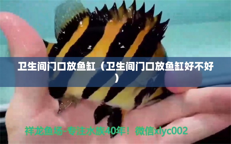 衛(wèi)生間門口放魚缸（衛(wèi)生間門口放魚缸好不好）