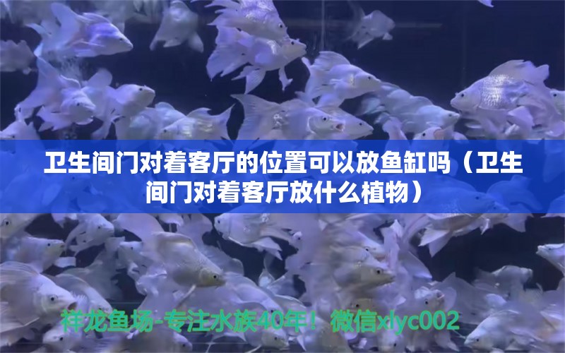 衛(wèi)生間門對著客廳的位置可以放魚缸嗎（衛(wèi)生間門對著客廳放什么植物）