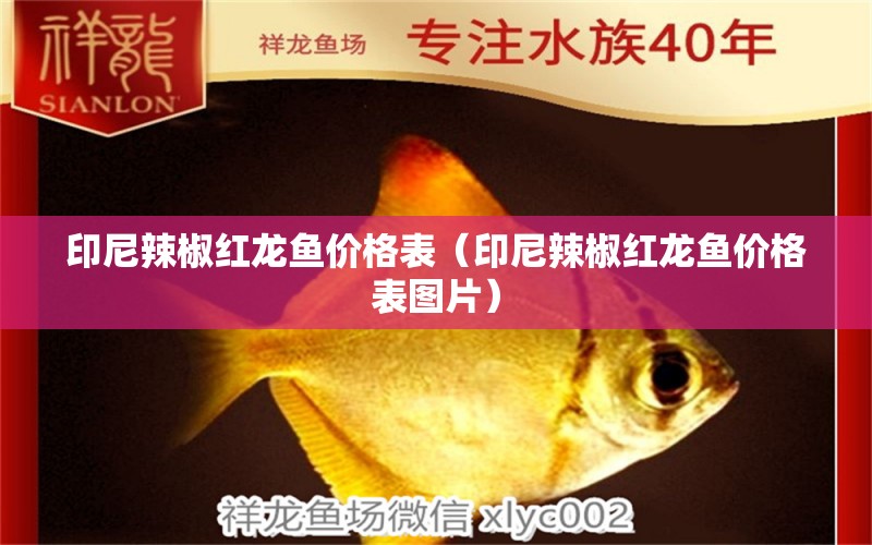 印尼辣椒紅龍魚(yú)價(jià)格表（印尼辣椒紅龍魚(yú)價(jià)格表圖片） 印尼紅龍魚(yú)